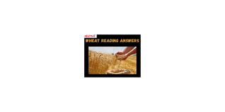 Wheat Reading Answers